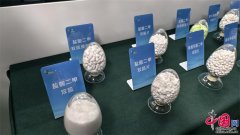 山东“冠军制制”实力出圈：大而全建根